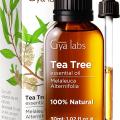 Gia Labs Australian Tea Tree Oil for Hair & Scalp - 100% Natural Therapeutic Tea Tree Oil for Face - Tea Tree Oil for Skin, Toenails & Piercings